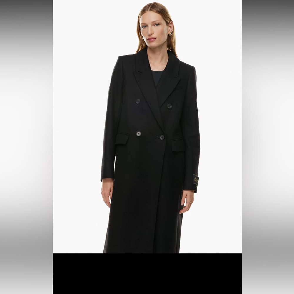 Aritzia constant coat